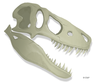 CSLP_2026_Dino_Skull.png
