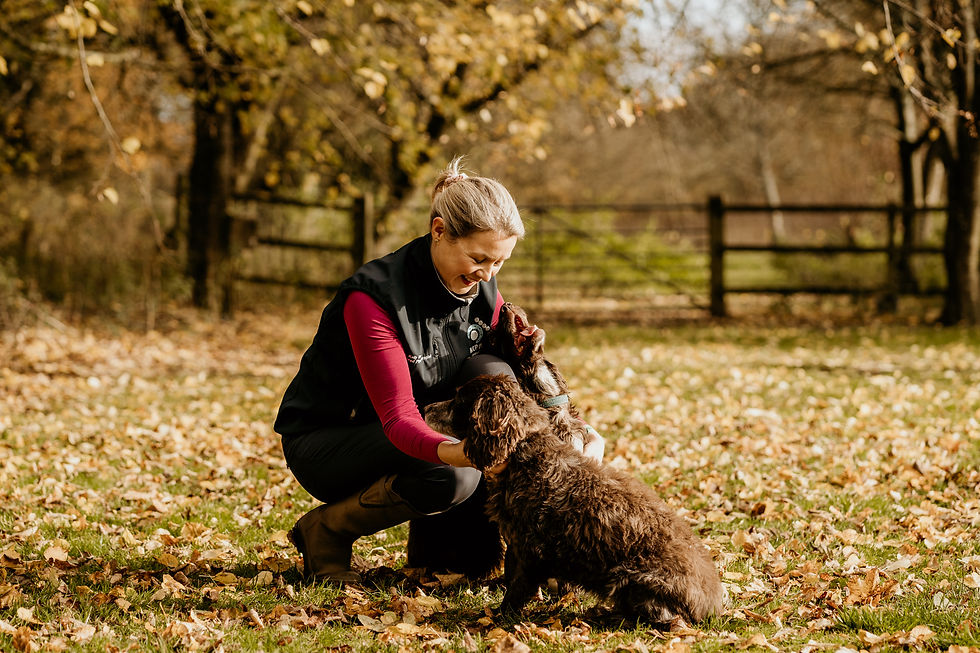 photography by Louisa Jane