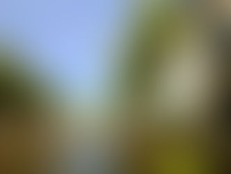 Conclusion et nouveau commencement...