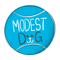 Dog chewing furniture showing destructive chewing behavior