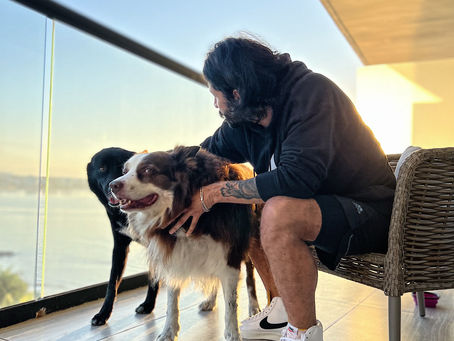 De Cero a Líder: La Historia de Octavio Abascal y el Crecimiento Exponencial de Modest Dog Adiestramiento Canino