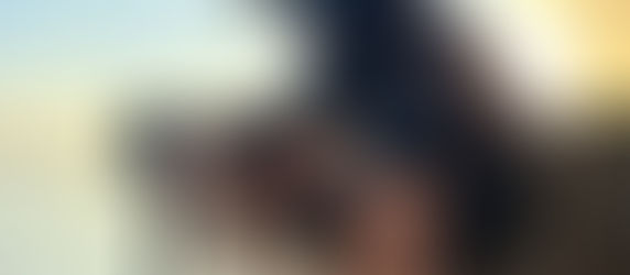 Modest Dog: Un Hito Internacional en Adiestramiento Canino, Animales de Servicio y Apoyo Emocional