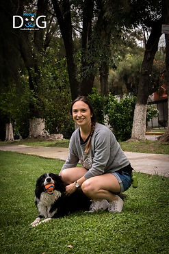 el-mejor-entrenador-de-perros-juriquilla-xalapa-santa-fe-coyoacan-san-pedro-garza-garcia-tlajomulco-de-zuñiga-zapopan-modest-dog-adiestramiento-canino-mexico