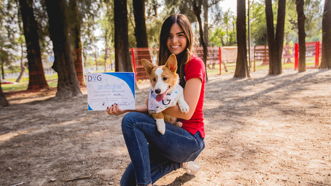 adiestramiento-canino-queretaro-centro-juriquilla-el-campanario-modest-dog