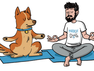 Dog showing separation anxiety when owner leaves the house