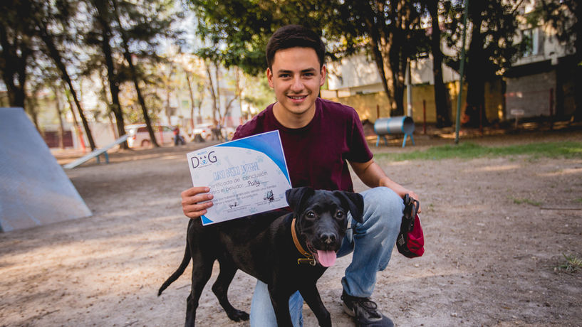 adiestramiento-canino-miami-florida-entrenador-de-perros-puppy-boarding-modest-dog