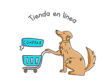 adiestramiento-canino-queretaro-guadalajara-puebla-ciudad-de-mexico-monterrey-veracruz