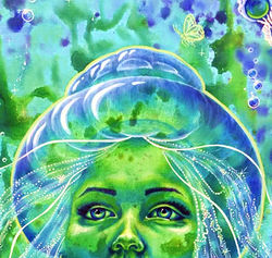 The Jellyfish