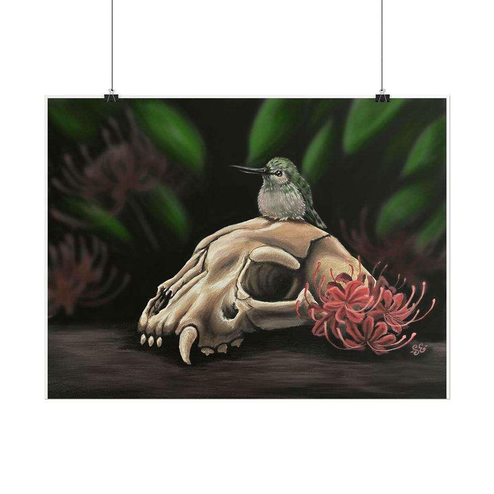 Thumbnail: Hummingbird #1 - 24 X 18 Rolled Poster
