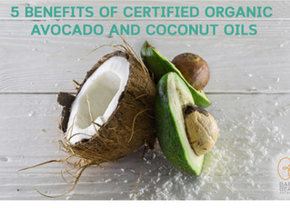 5 BENEFITS OF ORGANIC AVOCADO AND COCONUT OILS