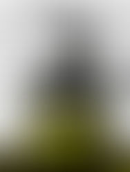 « DJ Set » - Mr. Rens B2B Dj Doc & Dj Droppa