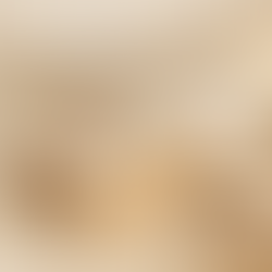 The Best Hawaii Furniture Stores: A Sourcing Manager’s Guide to Island Interior Design