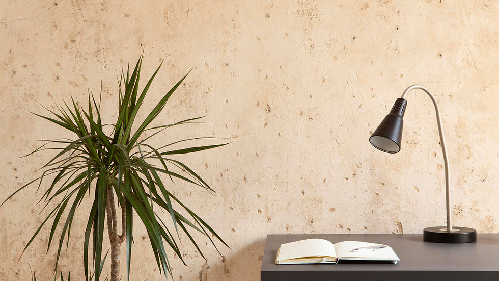 Potted plant and desk with open notebook and pen under a black lamp. Beige textured wall background. Minimalist and serene setting.
