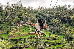 bali-swing-1.jpg