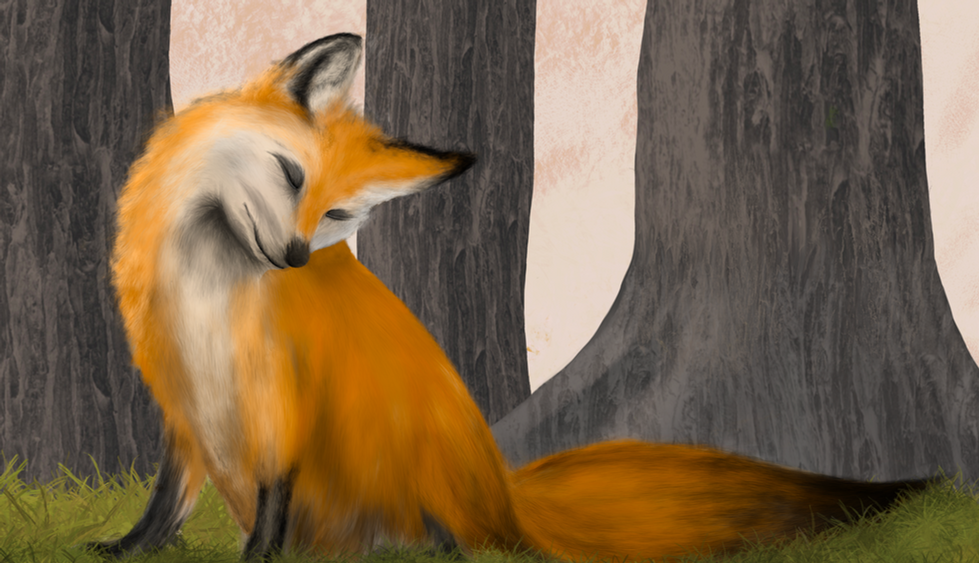 Fox.png