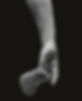 Copy of HandAnatomy_render_v004_edited_edited_edited_edited.jpg
