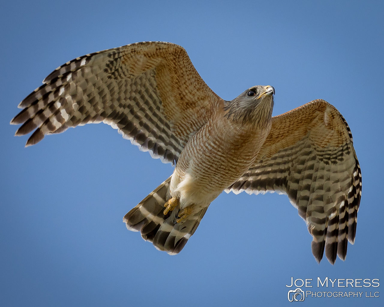JMP_5791
