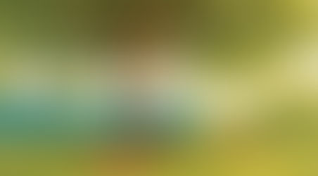 26.5.11-13 둥지 아카데미