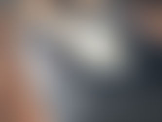 happy dogs relaxing on a cozy dog bed in a well-lit home, looking content after a structured day. The scene emphasizes the importance of consistency, comfort, and professional pet care.