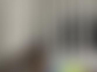 12-week-old dachshund puppy cared for during a drop-in visit in Ocean Lakes Virginia Beach.