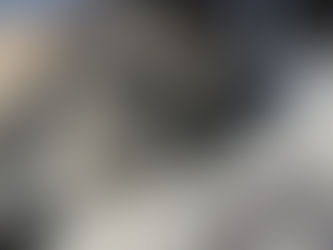 Close-up of a French Bulldog sleeping peacefully during doggy day care in Ocean Lakes, Virginia Beach