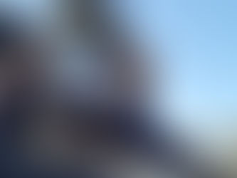 Buddy the dog in a sea captain costume during Halloween in Virginia Beach, near Ocean Lakes and Red Mill.