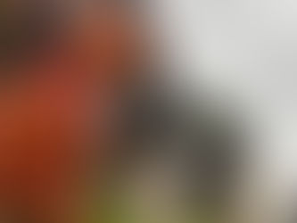 Shih Tzu sitting and looking up at inflatable dog with Santa hat during Christmas in Ocean Lakes dog sitting in Virginia Beach.