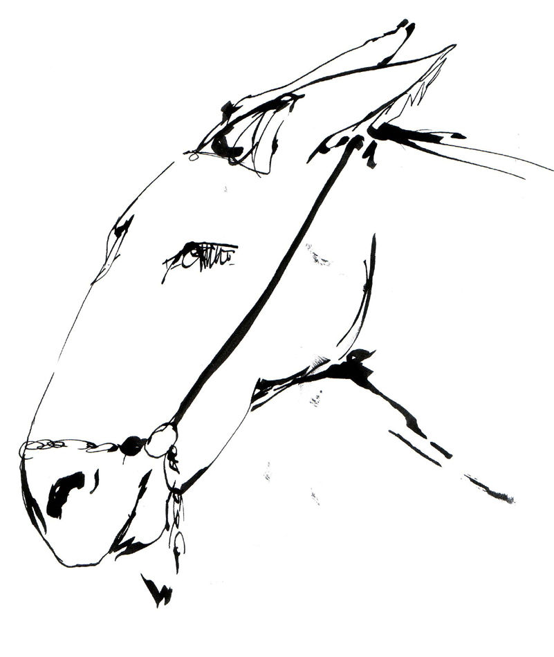 FIGURE DRAWING