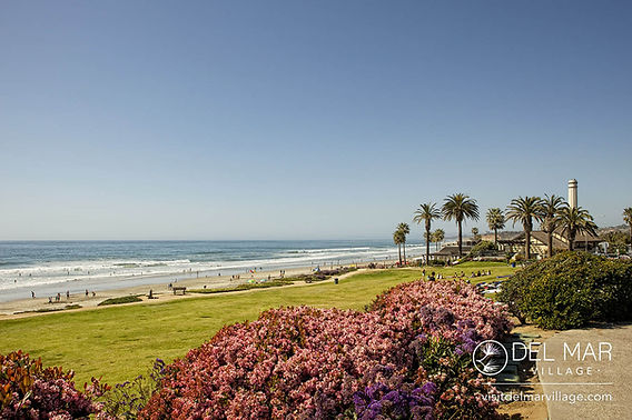 Del-Mar_Dog-Beach_002.jpg