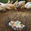 Miniatura: Gallina mestiza