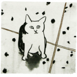 a curious cat