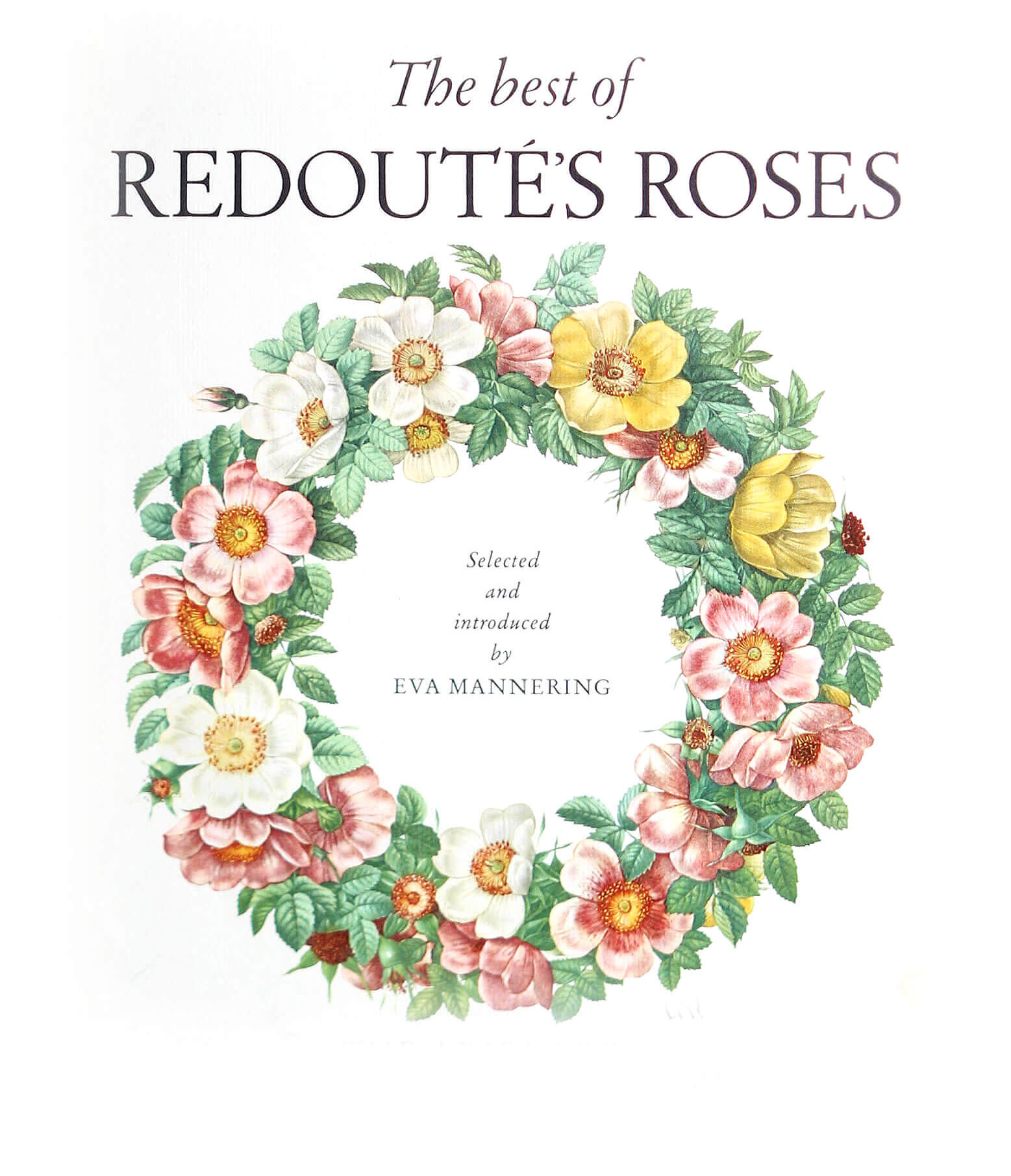 名古屋アンティークアートショップ ルドゥーテボタニカルアート