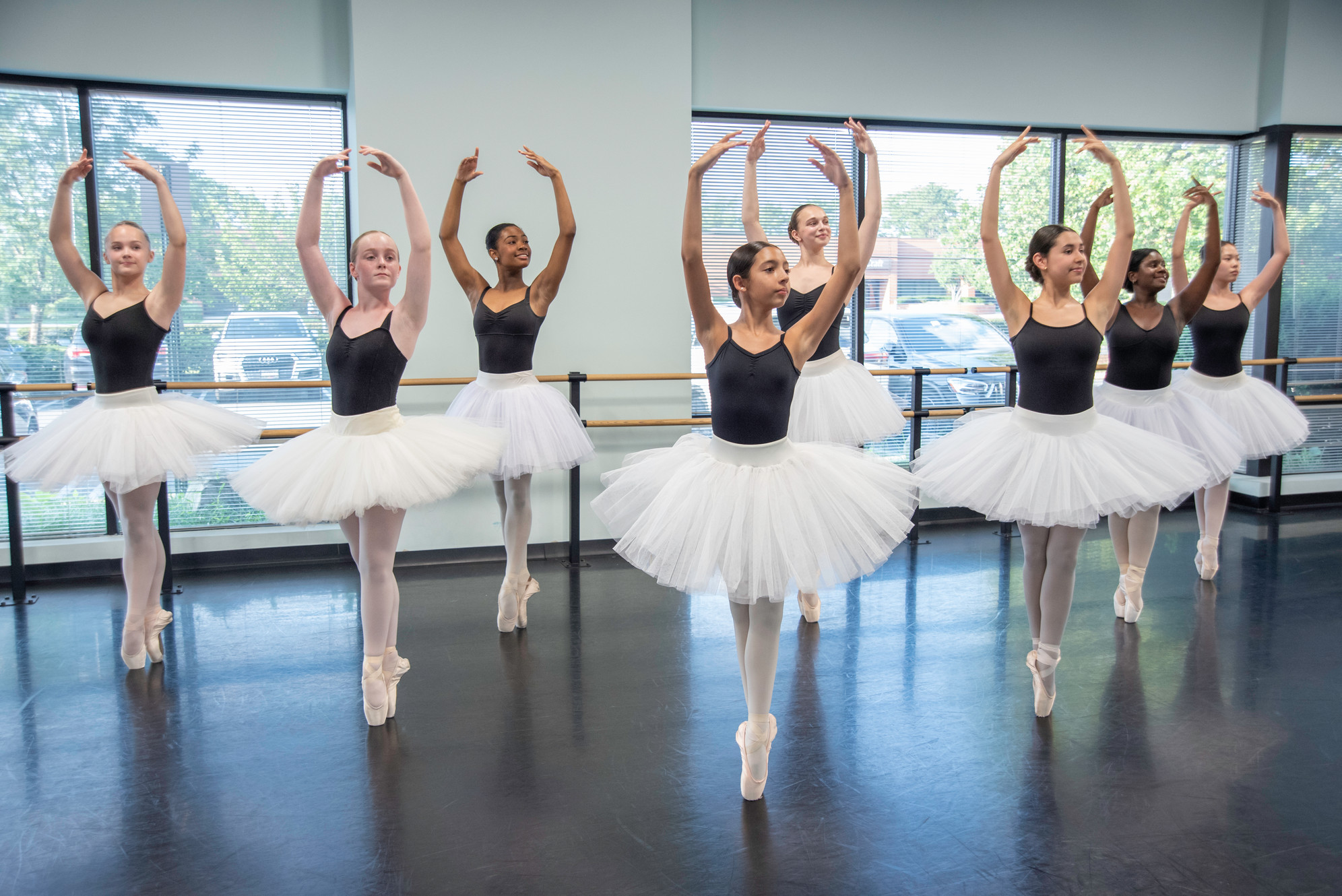 Metropolitan Ballet Theatre Inc logo