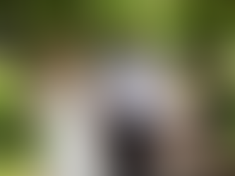 Things To Consider When Planning Wedding Day Photography.