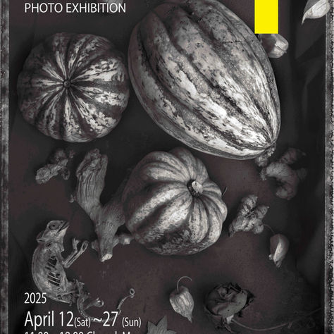 アンナ・ハヤトとスラヴァ・ピルスキー「Postbotanica」 