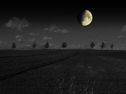 Kazz Morishita, photography