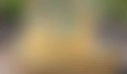 new works by Toyohiko Nishijima