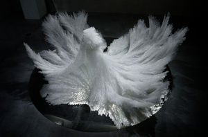 Hiroko Tsuchida | Gallery G-77
