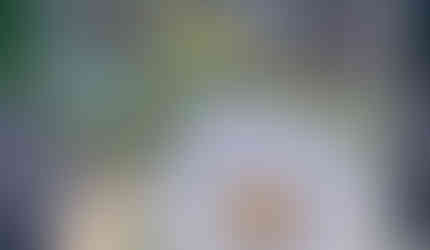 new works by Toyohiko Nishijima