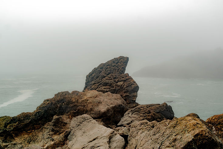 organic rock horizon.jpg