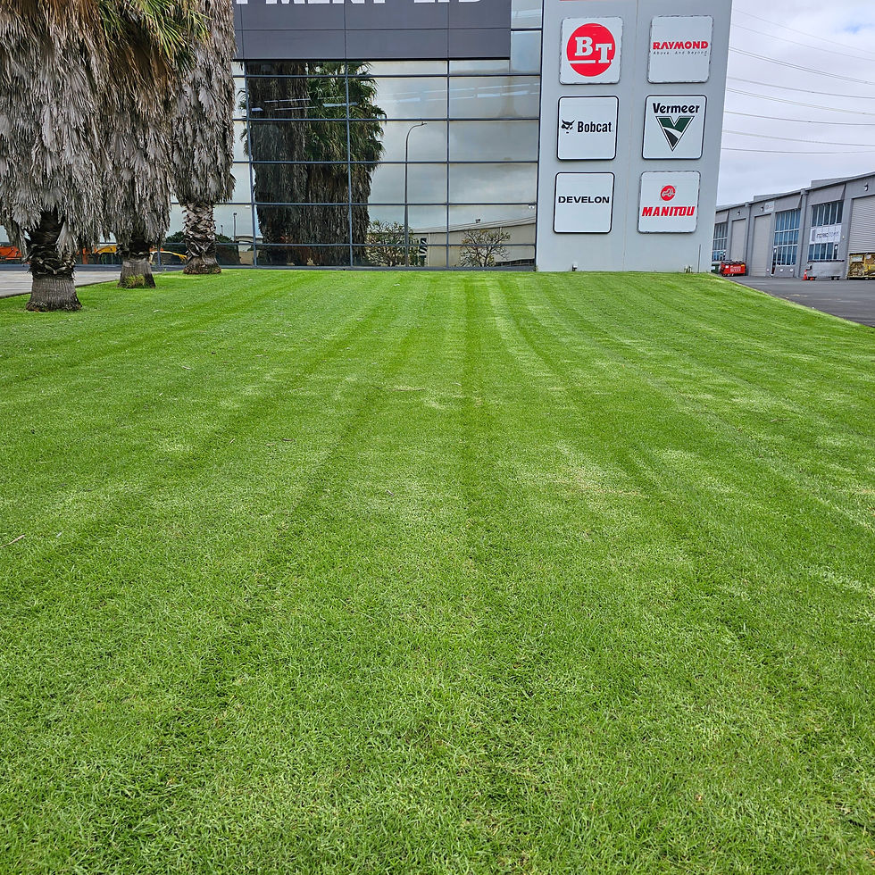 Commercial Lawn Mowing Customer