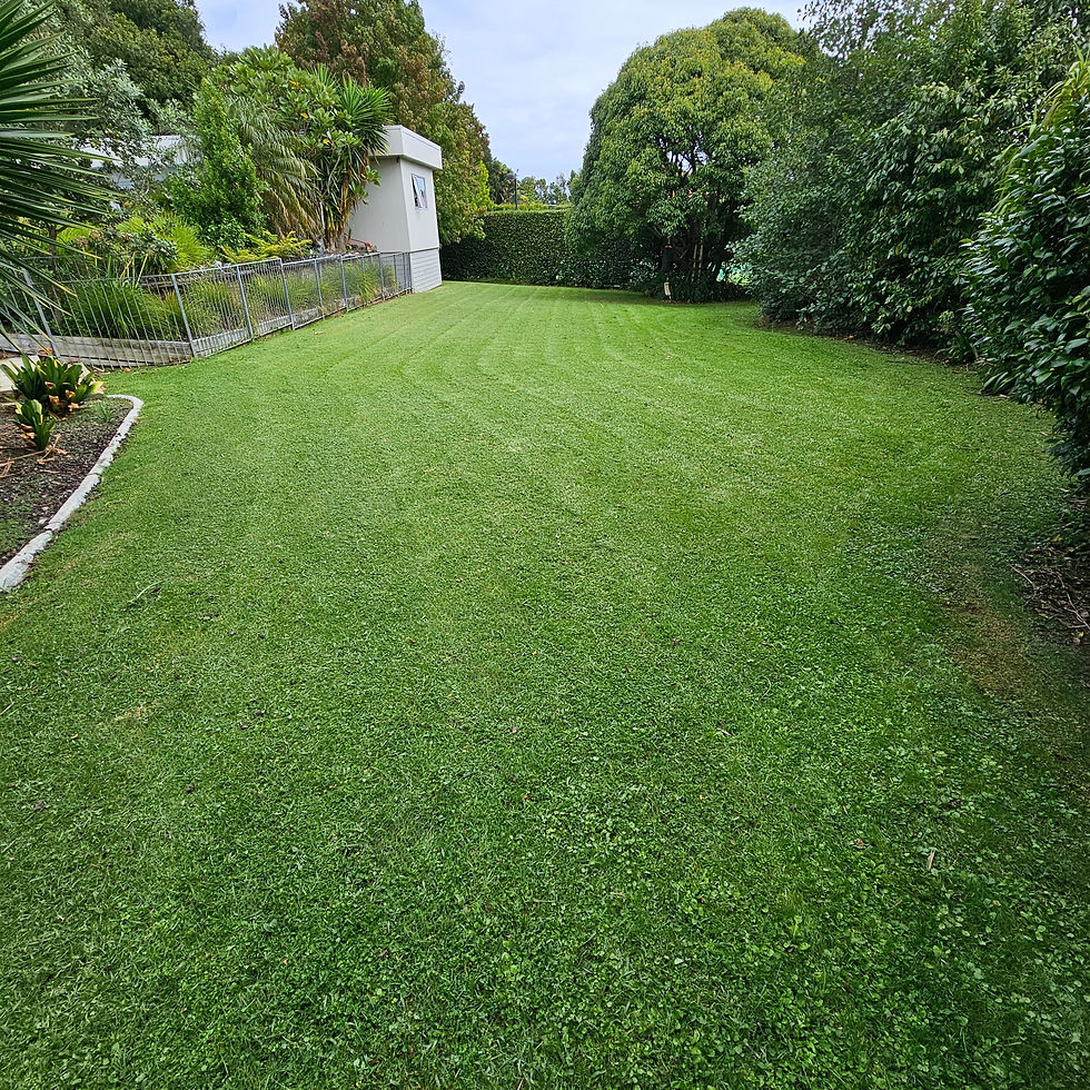 Residential Lawn Mowing Customer