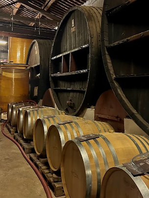 Capture d'écran 2025-11-15 195829.png