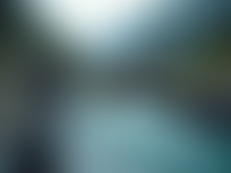 Explore Atlin's Riches: High-Grade Placer Mining Project