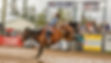 535676912_10162104922648768_7881661736267908324_n.jpg