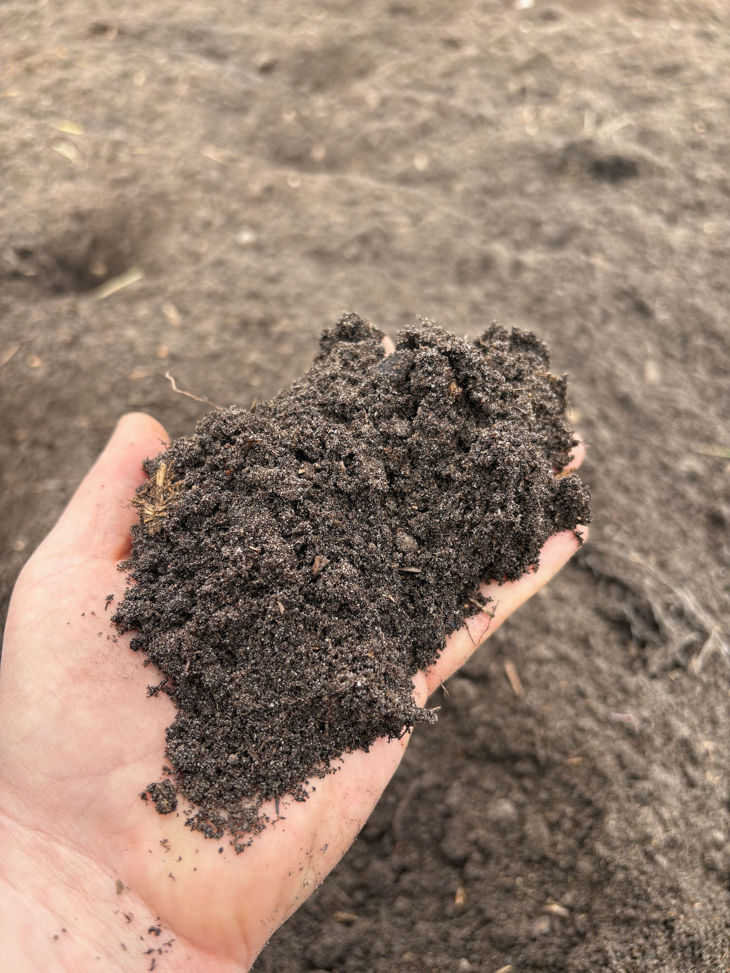 Composted Cattle and Horse Manure at Kehler Cattle and Colts