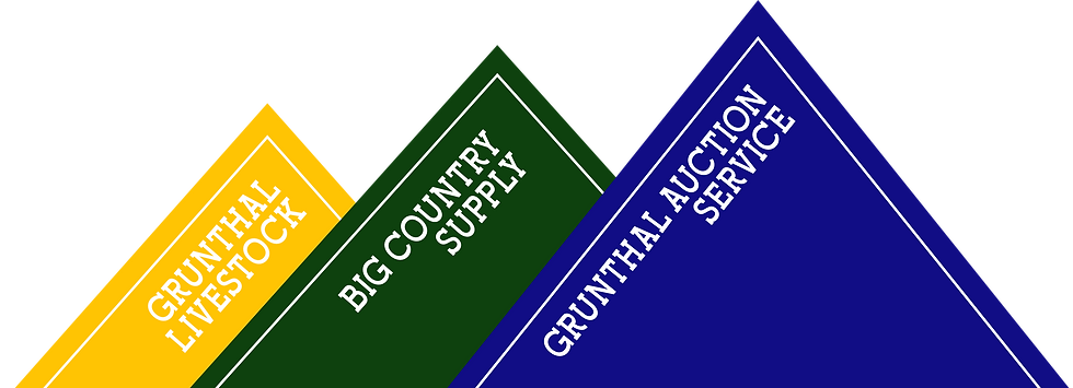 Grunthal Auction Icon with Names.png