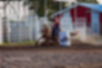 Barrel Racing at the Hanover Ag Fair Grounds