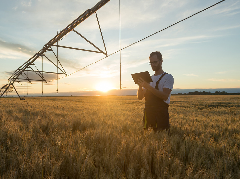 Farmer With Tablet