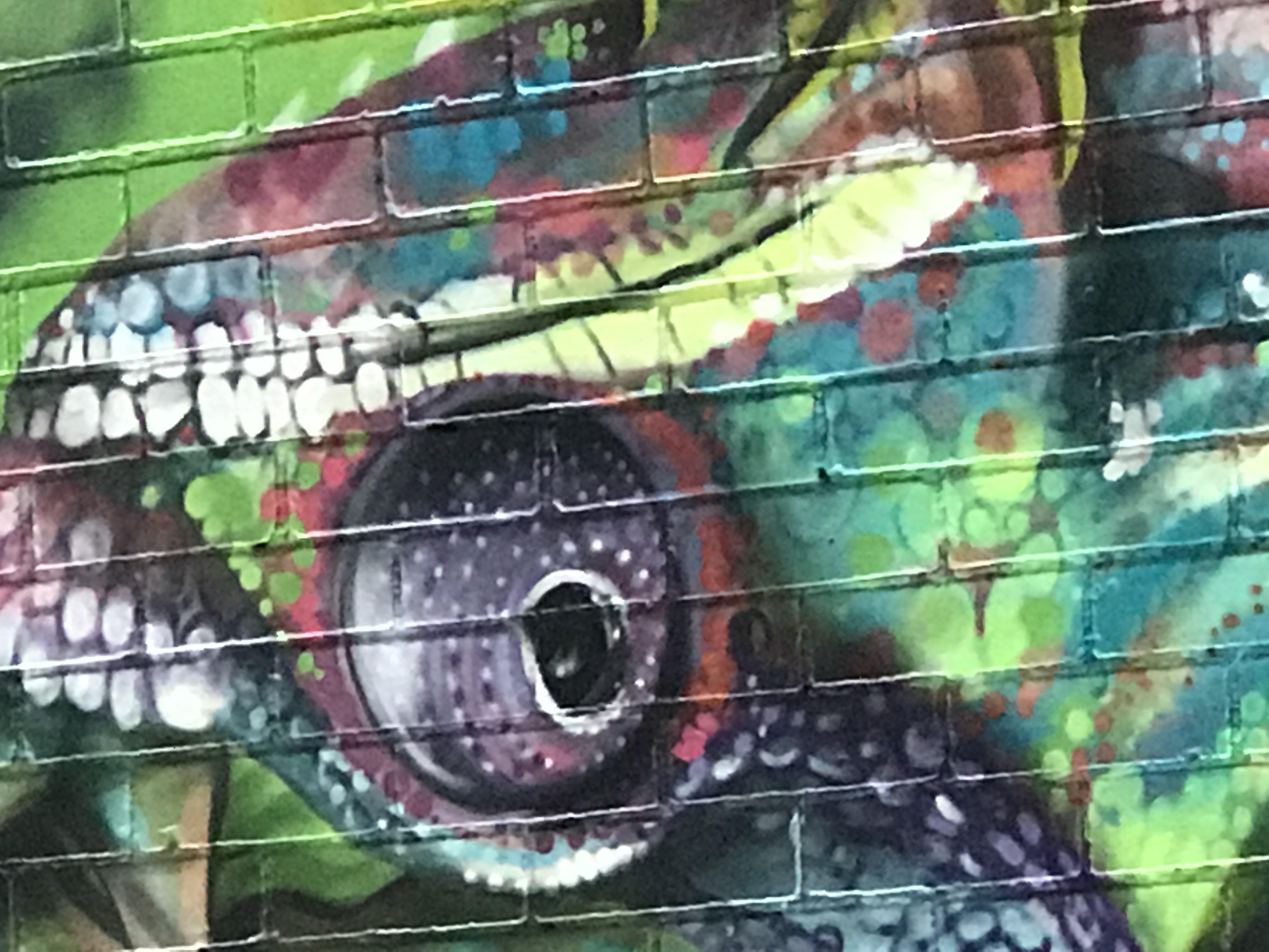 Eye See You